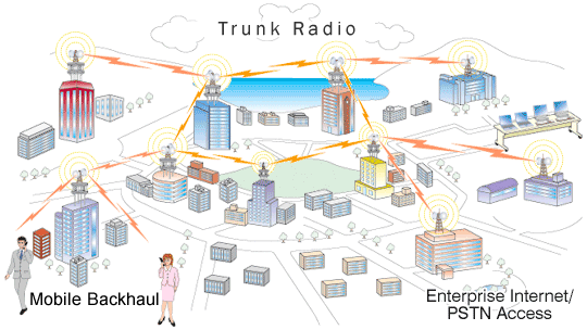 Network Application